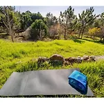 Holiday home Casa Na Floresta *