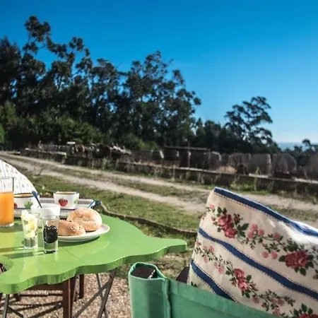 Casa Na Floresta Holiday home Figueira da Foz