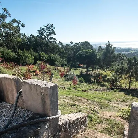 Casa Na Floresta *