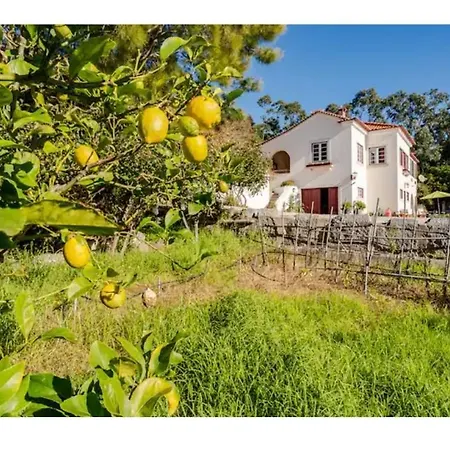 Casa Na Floresta *