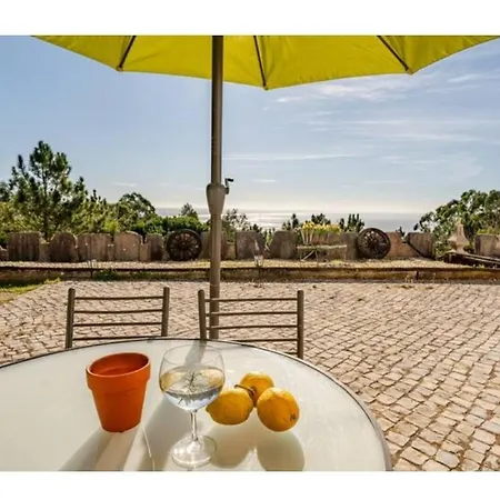 Casa Na Floresta * فيغيورا دا فوز