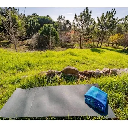Tatil Evi Casa Na Floresta *