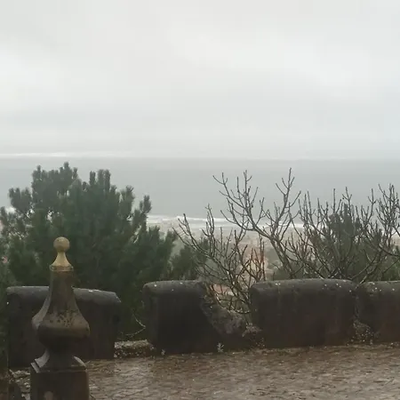 Casa Na Floresta Tatil Evi