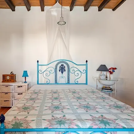 Casa Na Floresta * Figueira da Foz