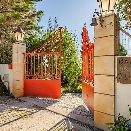 Casa Na Floresta Figueira da Foz