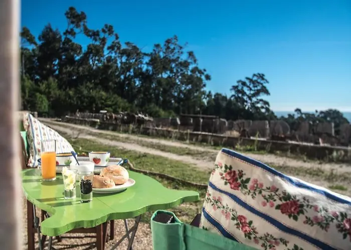 Casa Na Floresta Tatil Evi Figueira da Foz