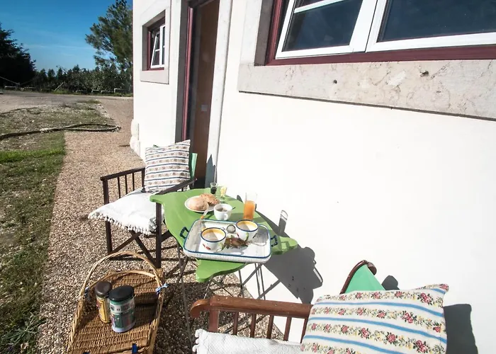 Tatil Evi Casa Na Floresta