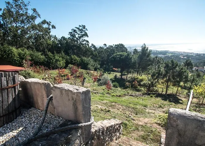 Casa Na Floresta *