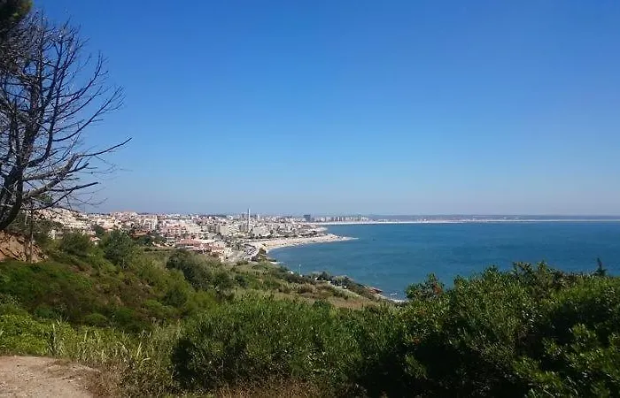 Casa Na Floresta Tatil Evi Figueira da Foz