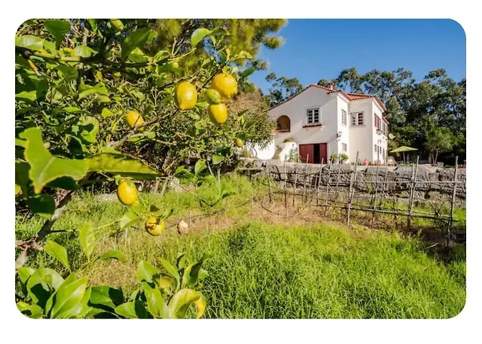 Casa Na Floresta *