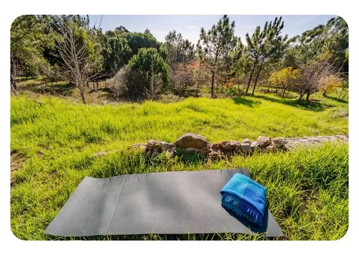 Hébergement de vacances Casa Na Floresta *